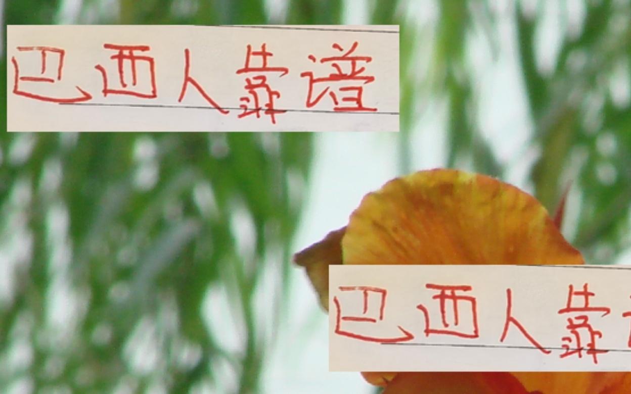 还是巴西外援靠谱！从海港巴西帮再到河南桑巴壮汉！