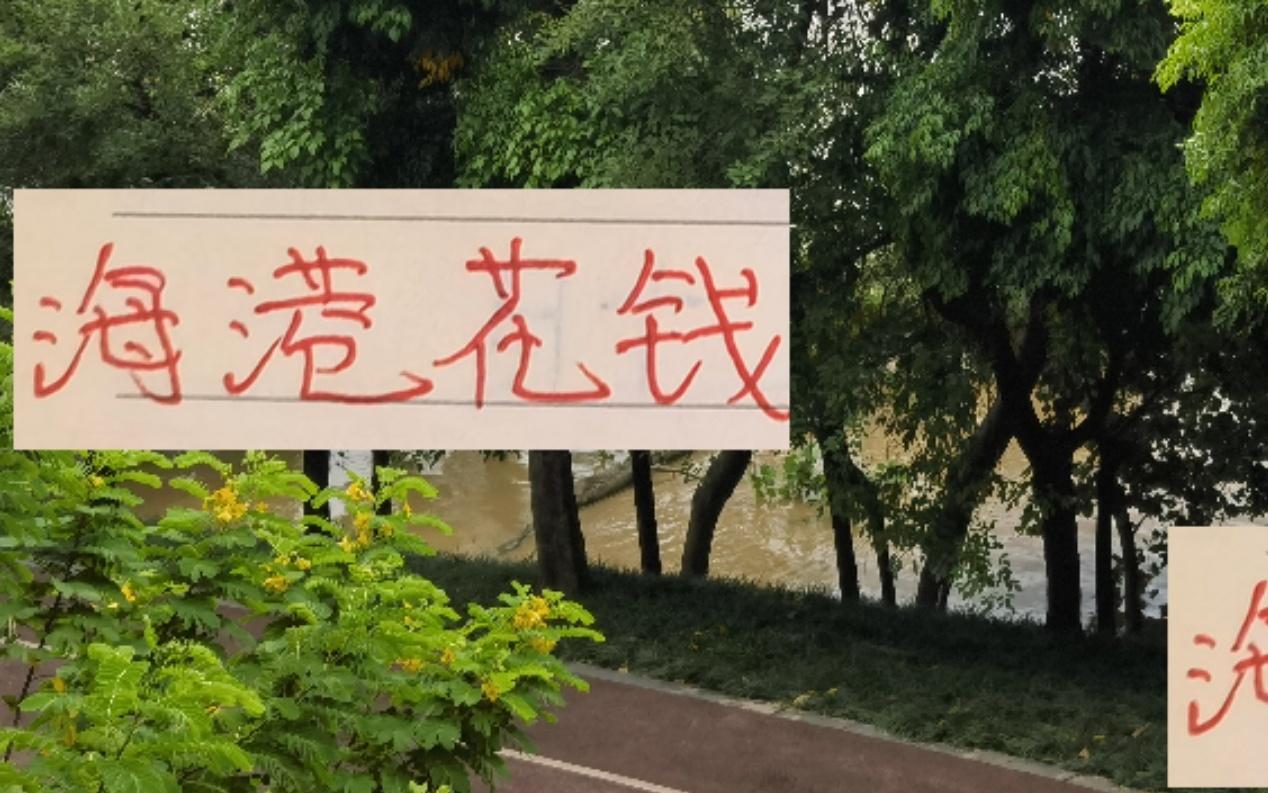 海港花钱至少听见响申花也听见一点今年就差北京国安了！