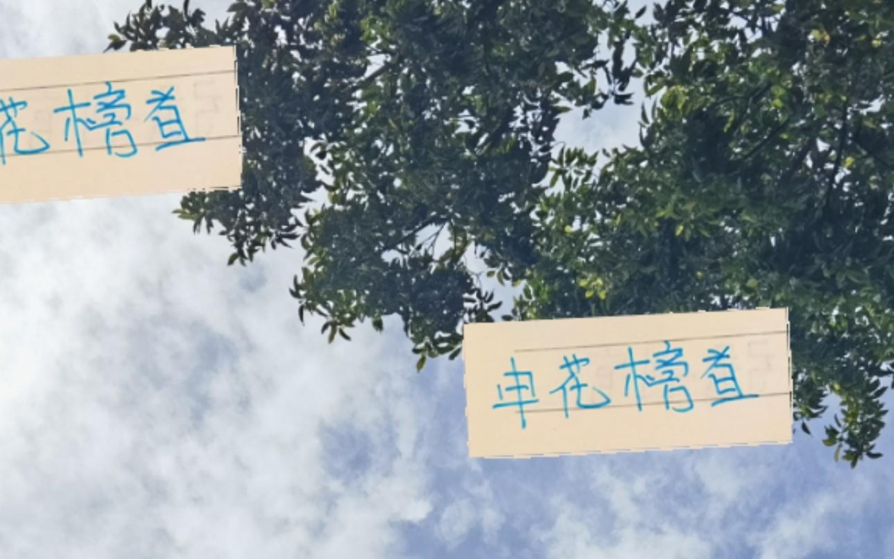 没想到！申花霸屏榜首最多但现在夺冠