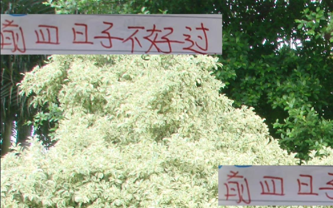 除榜首成都！前4日子都不好过申花名宿曹赟定直接锐评教练