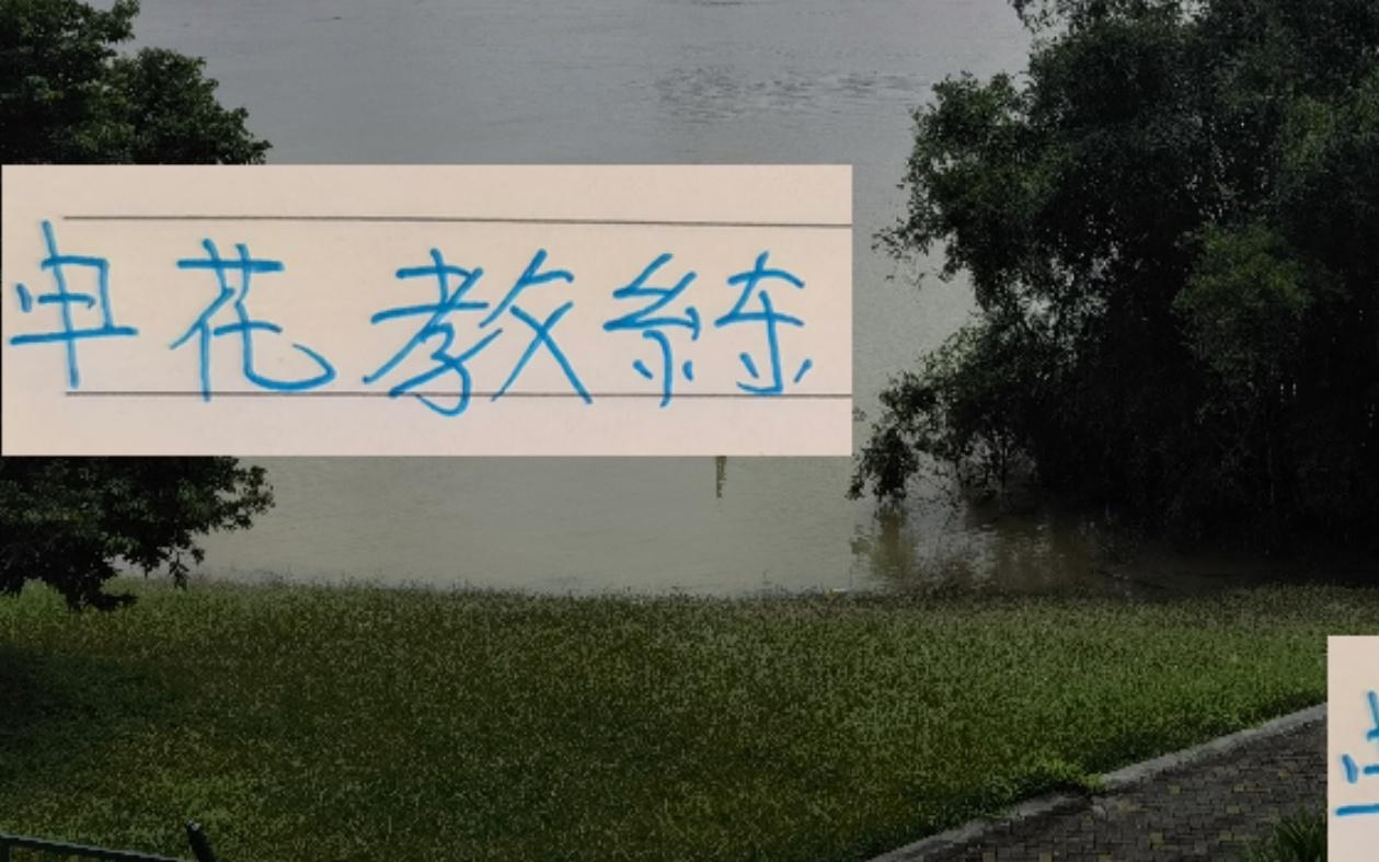 都是同一日开训！但申花教练还在北京国安主帅已经换人了！